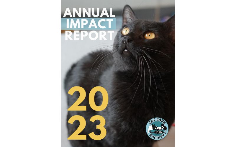 2023 Cat Care Society Annual Impact&nbsp;Report